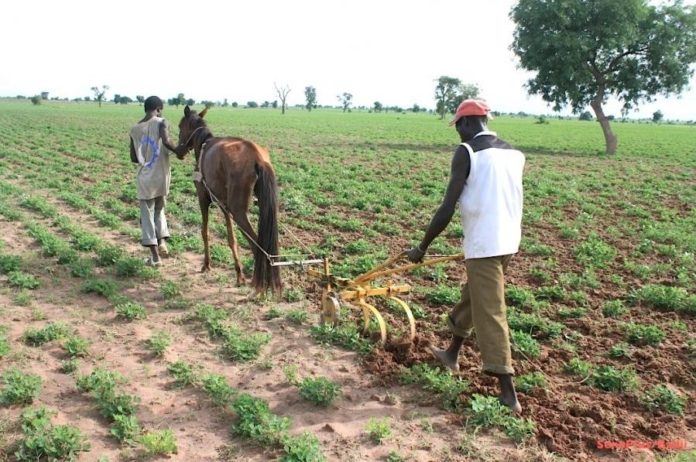 Evaluation of the LESAIV Sahel Program