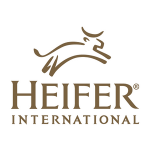 Heifer logo