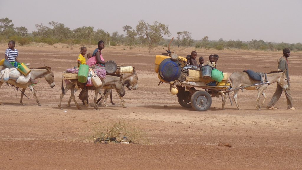 Scoping study and develop Strategic Plan for Heifer’s Interventions in the Sahelian Africa Countries