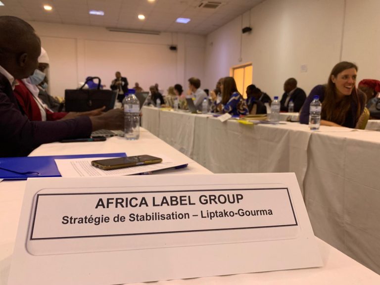 Strategies and plans in steering development in African countries