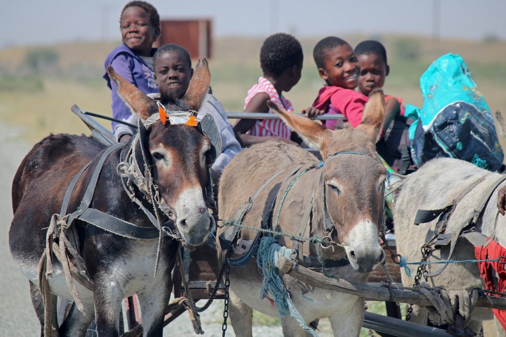 Improving Transparency and Accountability in Local Government in Francophone Africa