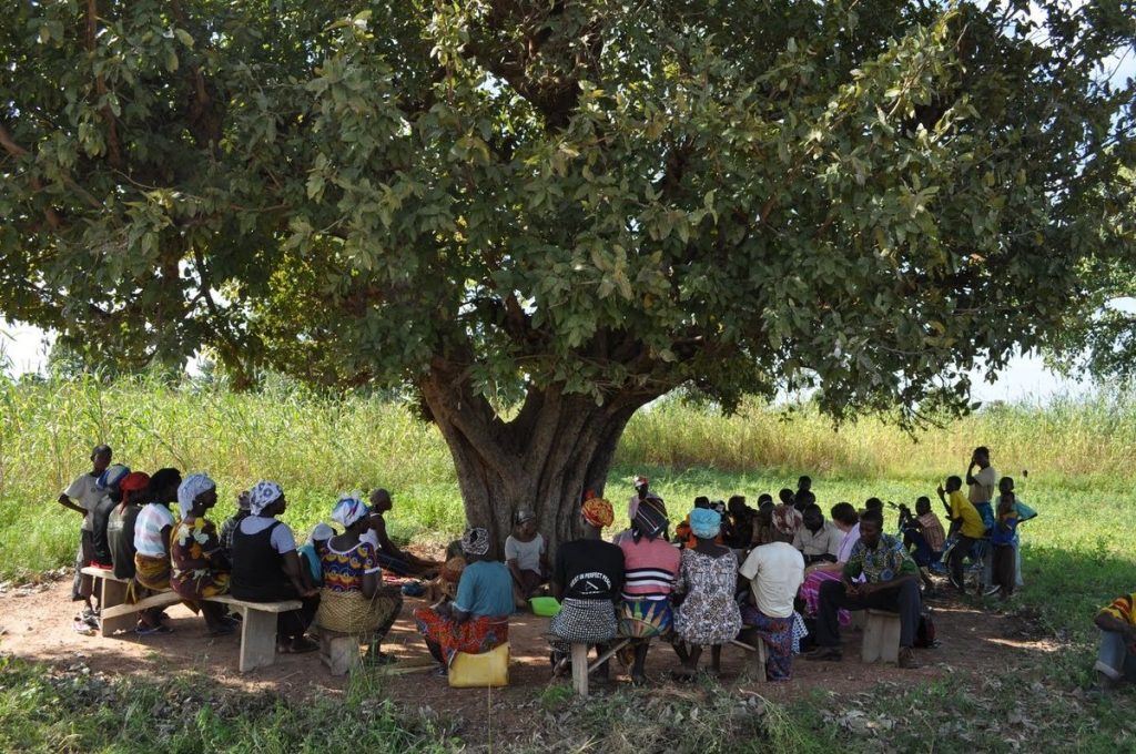 Strategic Nutrition Assessment in Burkina Faso